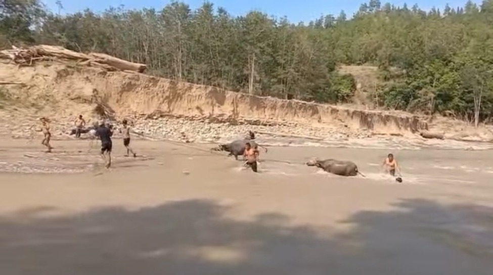 whatsapp image 2026 02 10 at 10.34.39